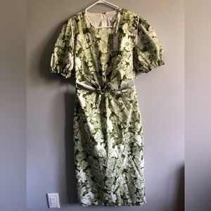 J. Crew Green and White Floral Dress